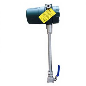 220Vおよび24V二重電源式熱式ガス質量流量計（濃縮二酸化炭素用） - Product Image 1