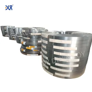 DLX व्यावसायिक फैक्टरी मेड ASTM B127 नी-घन मिश्र धातु Monel 400 निकल आधार मिश्र धातु पट्टी/पन्नी/कुंडल