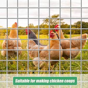 Fabricante de malla de alambre soldado en stock, jaula de conejo, jaula de pollo, malla de construcción, malla de alambre soldado galvanizado en caliente - Product Image 6