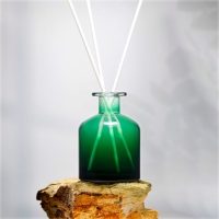 Bouteille diffuseur en verre rechargeable vide 250 ml ambre, récipient de stockage d'aromathérapie, accessoires de parfum