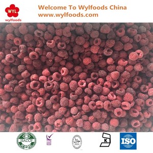 Giá bán buôn đông lạnh mâm xôi iqf quá trình số lượng lớn đóng gói Mâm xôi đỏ từ Serbia - Product Image 3