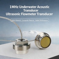 Transductor Ultrasónico Compuesto S304 de 1 MHz, Sensor para Medición de Profundidad de Agua, Transductor Ultrasónico para Agua