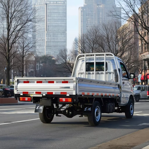 Anra Dongfeng <strong>Small</strong> <strong>Truck</strong> 4*2 <strong>Cargo</strong> Van Euro 3 Light <strong>Cargo</strong> <strong>Truck</strong> Mini New Condition Manual/Automatic - Product Image 4