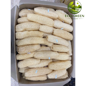 Jarrones de Cerámica con Esponja Natural de Lufa de Vietnam, Ecológicos, Forma Natural, Crudos, para Decoración del Hogar, Tamaño Personalizable - Product Image 5