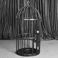 Jouets de punition sexuelle BDSM, grande cage à oiseaux suspendue en acier, mobilier de bondage sexuel pour esclaves, cage à oiseaux antique