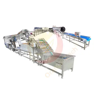 3 Ton Capacity Potato Chips Make Machine China 2000kg/H Small Size Frozen French Fries Production Line