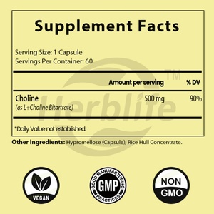OEM ODM Private Label Choline <b>Capsules</b> 500mg - Supports Cognitive Performance & <b>Liver</b> Health, Energy Improvement - 60 Servings - Product Image 2