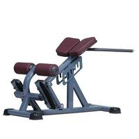 Chaise romaine multifonctionnelle réglable pour le fitness commercial, banc à 45 degrés, équipement de gymnastique sportive pour la maison, chaise romaine