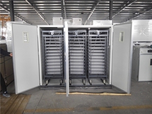 Incubadora Industrial Automática para 1000-100000 Huevos de Gallina, Nueva Máquina de Incubación de 220V para Huevos de Avestruz y Pavo - Product Image 2