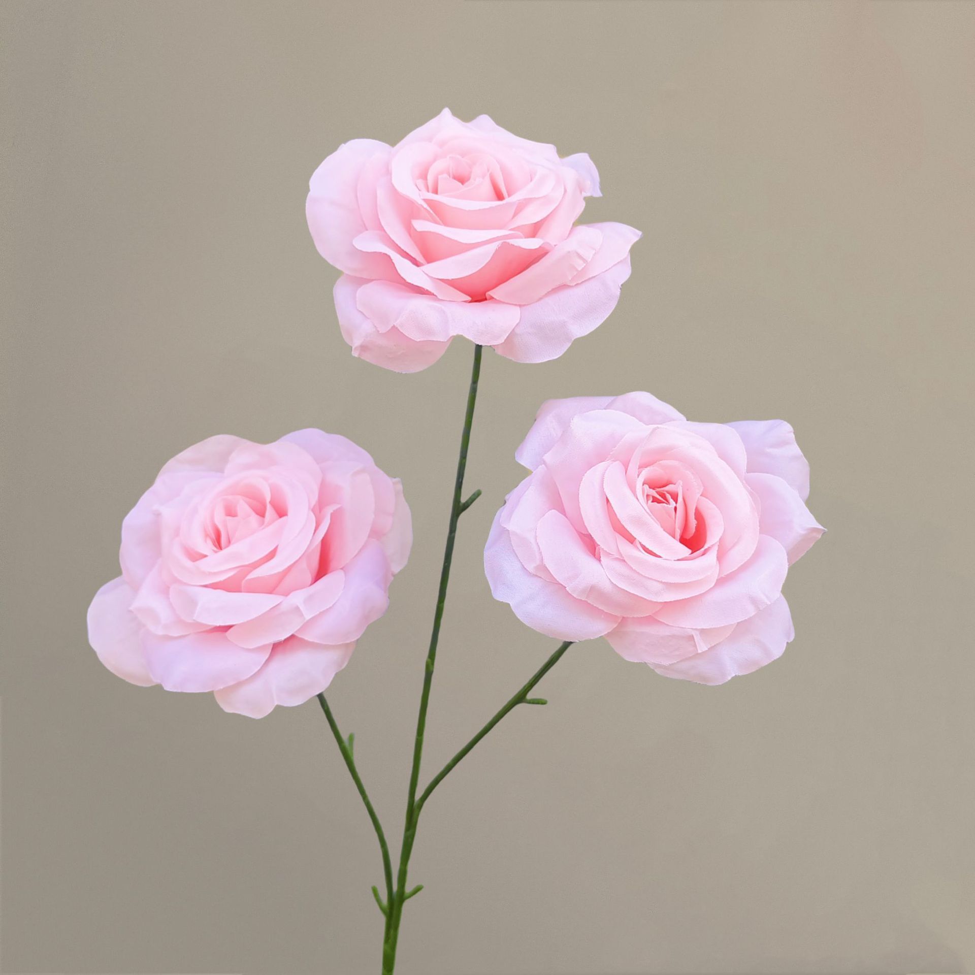 Diamants à 3 têtes (sans feuilles) en rose rose