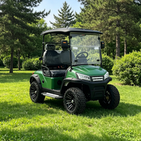 Voiture de golf électrique professionnelle 48V à deux places, alimentée au lithium, en promotion, buggy de golf tout-terrain, 30-50 km/h, 70-90 km d'autonomie