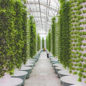 NUEVO Sistema de Jardín Vertical Hidropónico y Acuapónico Ecológico, Kit de Cultivo Interior con Bomba, 5/7/9 Niveles, Material ABS Resistente, 4 Años de Garantía - Product Image 6