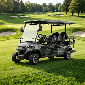 Voiturette de golf électrique en aluminium avec châssis stable, 5-6 places, pour le transport touristique dans les sites touristiques, les stations balnéaires et les communautés. - Product Image 4