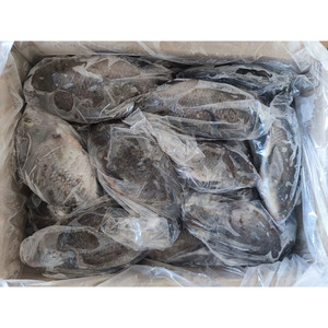 Esportazione Cinese: Tilapia Intera Congelata IQF/IWP/IVP, 10kg per Cartone, Tutte le Dimensioni - Product Image 3