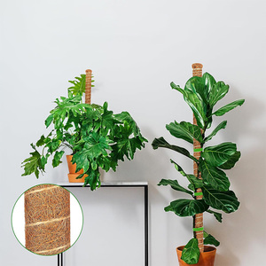 Lot de 2 poteaux en fibre de coco pliables de 40 pouces/100 cm, support pour plantes, accessoires de jardinage, fabriqués en fibre de coco, livraison locale depuis les États-Unis - Product Image 2