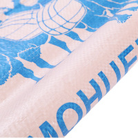 Les sacs en papier vides faits sur commande 50 kilogrammes de ciment pp vident l'emballage de sac de ciment pour le ciment de emballage