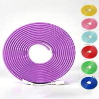 Kit de Tira de Luz LED de Neón de Silicona de 12V, Bajo Voltaje, 6x12mm, Impermeable, 2835, Cinta Flexible para Señalización Publicitaria Exterior