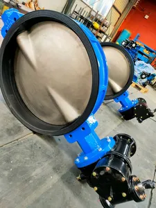 Factory Wholesale EPDM Worm Wheel Wafer Hydraulic Butterfly Valve