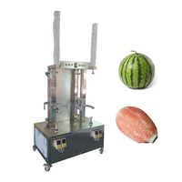 Machine d'épluchage d'éplucheur de peau de citrouille de pastèque de papaye d'automation élevée