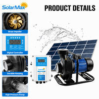 Pompe à eau solaire de surface SOLAR MAX 300V 3000W avec moteur CC sans balais et contrôleur intégré, basse pression pour l'irrigation agricole
