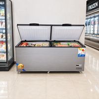 Congélateur coffre commercial à double température, 2 portes, congélateur coffre profond, gaz R290, refroidissement direct, étagères réglables, faible niveau sonore