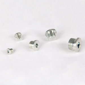 Tornillos No Estándar Variados, Tapones Hidráulicos Hexagonales, Métricos e Imperiales, Juntas de Goma ED, Tapones de Sellado, Tapones Roscados - Alta Calidad - Product Image 1