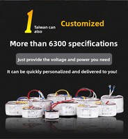 Transformateur toroïdal NH600 personnalisé pour équipement audio, amplificateur de puissance en cuivre pur, transformateur audiophile, isolation haute puissance