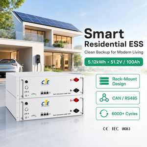 Batería LiFePO4 <span class=keywords><strong>CFE</strong></span> 51.2V 100Ah 5kWh ESS Residencial 6000 Ciclos Montaje en Pared Comunicación CAN para Sistema de Almacenamiento de Energía Solar - Product Image 1
