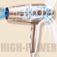 Secador de Pelo Iónico Profesional para Salón, Luz Azul, Cuidado Iónico, Control Inteligente de Temperatura NTC, Secado Turbo Rápido, Venta al por Mayor OEM, Exportación