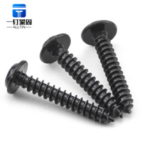 Vis autotaraudeuse Torx M2-M6 en acier inoxydable 304 noir zingué, classe 6.8, pour applications automobiles, de communication et de construction