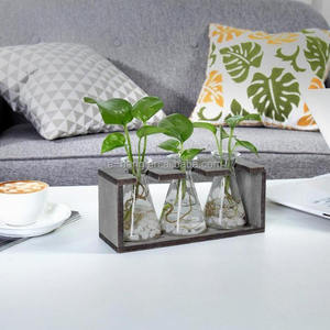 Vases hydroponiques en verre <span class=keywords><strong>avec</strong></span> support en <span class=keywords><strong>bois</strong></span> rétro, 3 béchers en verre, 2026 - Product Image 4