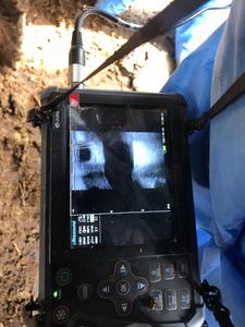 EUR PET en vente <span class=keywords><strong>Test</strong></span> de grossesse des animaux Equipement vétérinaire Bovin Félin Equipement vétérinaire à ultrasons portable - Product Image 4