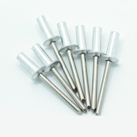 Rivets aveugles professionnels en aluminium à tête bombée, extrémité fermée avec mandrin en acier