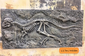 Réplica Realista de Fósil de Dinosaurio, Esqueleto de Dinosaurio Simulado para Parques y Arqueología - Product Image 3