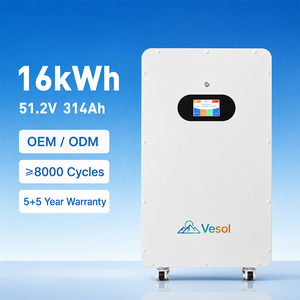 16kWh 51.2V 314Ah LiFePO4 <span class=keywords><strong>Batterie</strong></span> <span class=keywords><strong>Solaire</strong></span> Maison OEM ODM 8000 Cycles Smart BMS Backup Power - Product Image 1