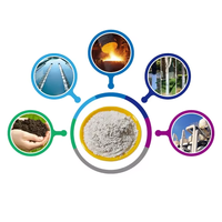 Hydroxyde de calcium de qualité industrielle Poudre de chaux Ca(OH)2 Hydroxyde de calcium pour le traitement de l'eau Chaux calcinée pour la construction routière