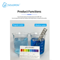 Bâtonnet d'eau alcaline riche en hydrogène CAMAZ pour la maison, portable, alimenté au gaz, en acier inoxydable argenté, sûr, 100 GPD pour une boisson saine