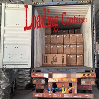 Fret maritime FCL vers le Brésil DDP Expédition de conteneurs complets Chine vers le port de Santos Rio de Janeiro Transitaire Agent industriel