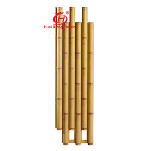Décoration <span class=keywords><strong>extérieure</strong></span> sans couture Poteaux <span class=keywords><strong>de</strong></span> clôture en plastique <span class=keywords><strong>bambou</strong></span> artificiel Produit écologique fabriqué à partir <span class=keywords><strong>de</strong></span> <span class=keywords><strong>bambou</strong></span> brut pour la décoration intérieure <span class=keywords><strong>de</strong></span> villas - Product Image 1