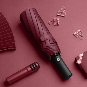 Paraguas Automático de 12 Varillas al por Mayor, Resistente al Viento y a los Rayos UV, Diseño Minimalista para Negocios, Envío Rápido, Logotipo Personalizado, Muestra Rápida de Fábrica - Product Image 4