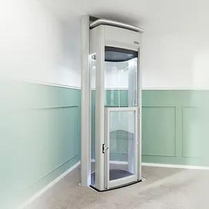 小さな機械室と安いレストランや家庭の装飾自動垂直シンプルな商業住宅乗用エレベーター
