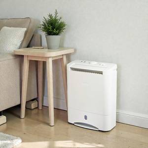 Déshumidificateur DD5 de haute qualité pour salon - OEM/ODM disponible - Product Image 1