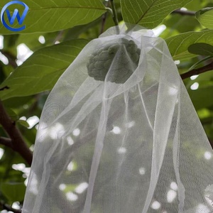 Housse <span class=keywords><strong>de</strong></span> protection pour fruits personnalisée, <span class=keywords><strong>papaye</strong></span>, grande maille anti-insectes, filet pour arbres fruitiers, sacs en filet, grande barrière, sac en PP Leno pour fruits - Product Image 5