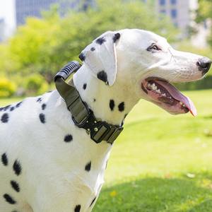 <span class=keywords><strong>Collar</strong></span> táctico para perros de <span class=keywords><strong>1</strong></span>,5 pulgadas, <span class=keywords><strong>Collar</strong></span> de entrenamiento para perros de alta resistencia con mango, hebilla de liberación rápida, <span class=keywords><strong>Collar</strong></span> grueso para mascotas medianas y grandes - Product Image 6