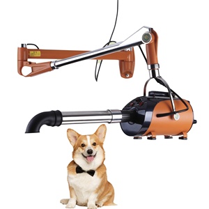 Sèche-cheveux mural en acier inoxydable de luxe, écologique, charge 110-240V, pour toilettage des animaux de compagnie, salle de bain, beauté, <span class=keywords><strong>SPA</strong></span> - Product Image 3