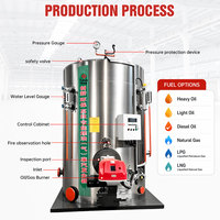 Générateur de vapeur à gaz/huile de 500 kg/h, chaudière à installation rapide pour machine à tofu vietnamienne