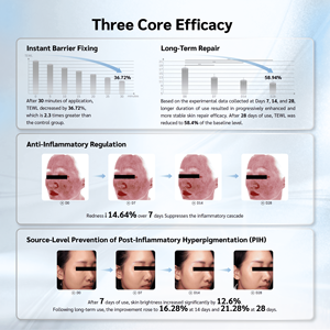 ชุดผลิตภัณฑ์ฟื้นฟูผิวแบบแช่แข็งคุณภาพสูง แบรนด์เฉพาะ ผลิตภัณฑ์แบบกล่องเดียวต่อชุด สำหรับใช้ที่บ้าน - Product Image 4