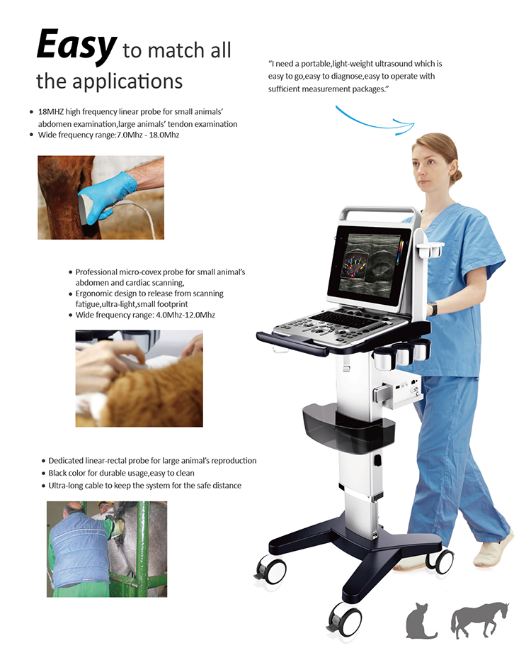 Fábrica Chison Ebit 50 Equipos De Ultrasonido Médico 3D 4D Sistema de Doppler de Color Con Sonda Convexa