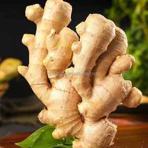 Jengibre Fresco Joven de Alta Calidad, Orgánico, Amarillo Brillante, 100g-300g, <span class=keywords><strong>Alimento</strong></span> Natural Puro Cultivado en Granja, Exportación Directa de China - Product Image 2