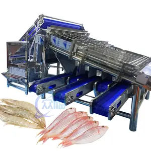 Shrimp processing fully automatic shrimp shelling line Shrimp impurity removal and sorting machine